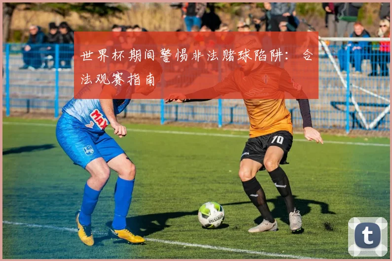 世界杯期间警惕非法赌球陷阱：合法观赛指南