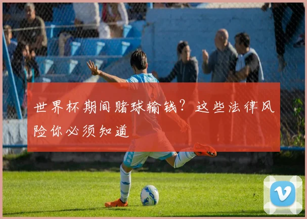 世界杯期间赌球输钱？这些法律风险你必须知道